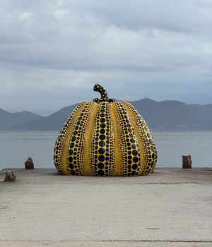 IMG_5760
